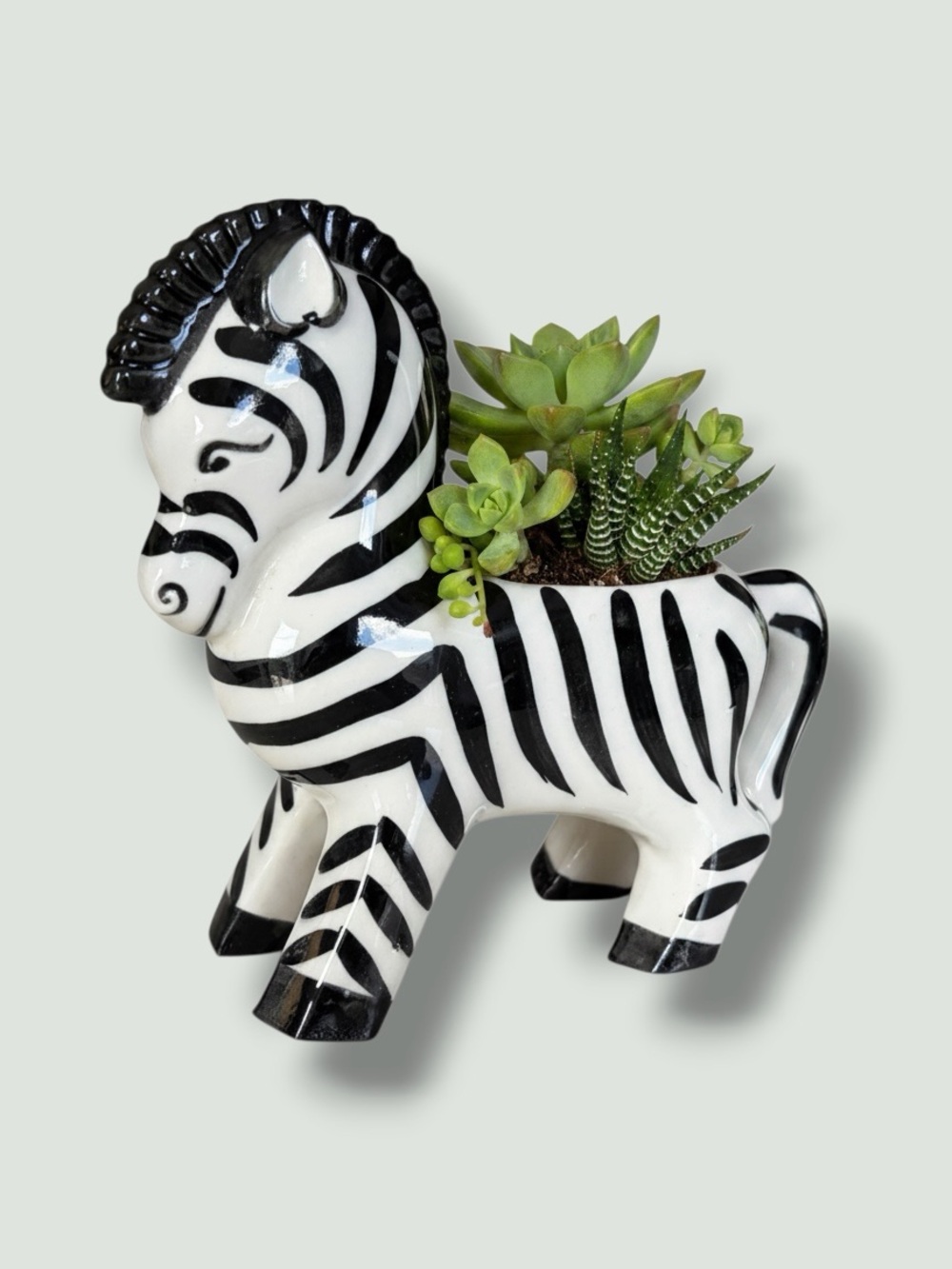 MCM Black & White Zebra Ceramic Planter